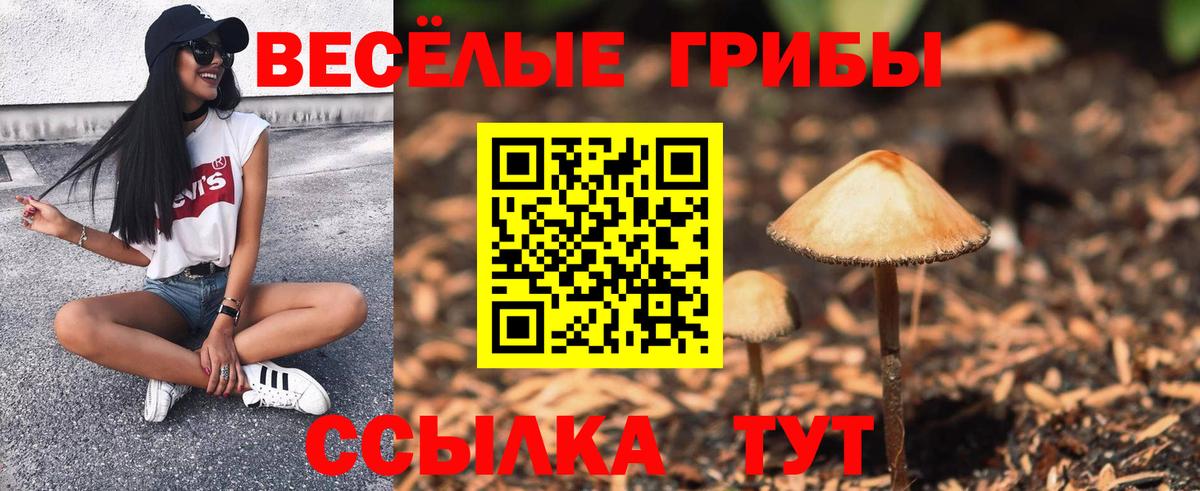 Галлюциногенные грибы мицелий Владикавказ