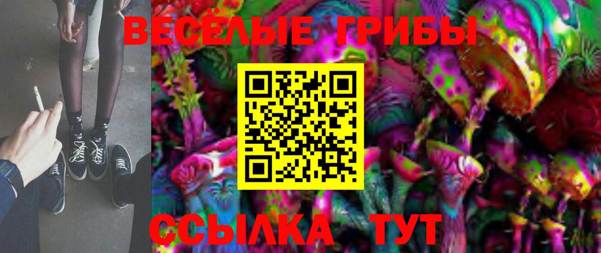 Владикавказ  наркошоп  Вход с VPN  Галлюциногенные грибы мицелий 